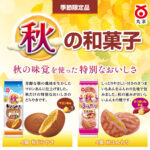 【秋季限定】秋の和菓子登場！